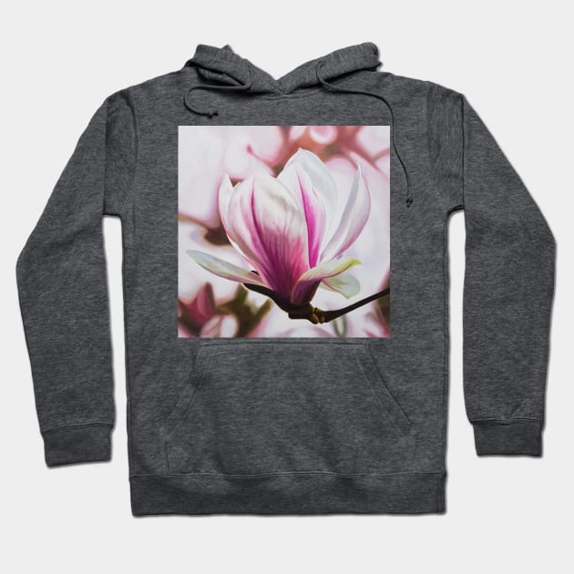 Magnolia - spring blossom in pink! Hoodie by EmilyBickell